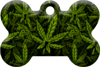 Hawai_35